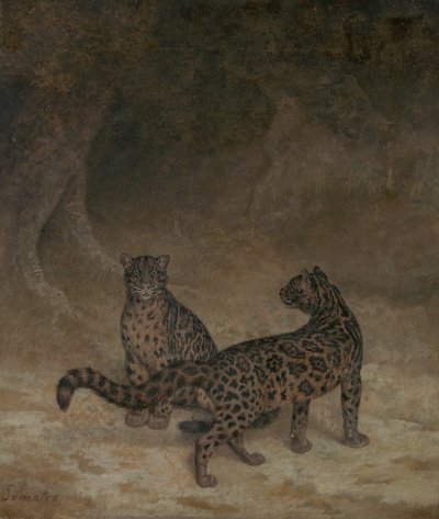 曇ったヒョウ、1825年頃 作： Jacques Laurent Agasse