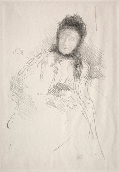 ヘイデン夫人、1895年。 作： James Abbott McNeill Whistler