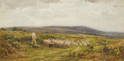 A Herefordshire Common, 1860-1900. 作： James Aumonier