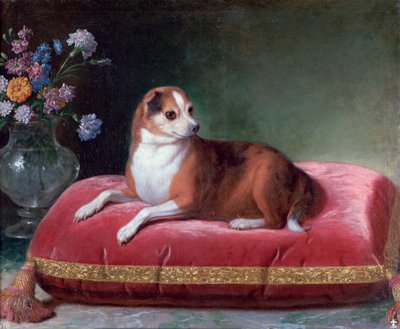 クッションの雌犬、c1694-1735 作： Jean Ranc