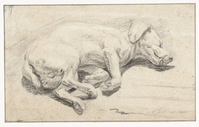 横たわっている犬、眠っている 作： Joannes Fijt (attributed to)