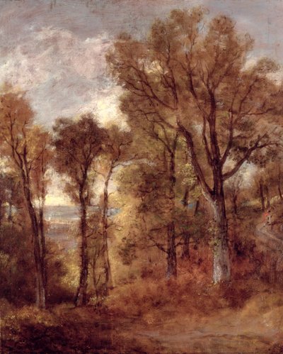 Woodland View in Suffolk（油彩・キャンバス 作： John Constable