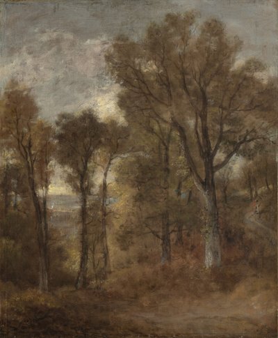 デダムヴェイルを見下ろす森の風景、1802年3月頃 作： John Constable