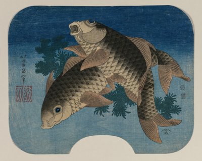 水草による鯉の泳ぎ 作： Katsushika Hokusai