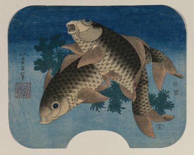 水雑草による鯉の泳ぎ、1831年。 作： Katsushika Hokusai