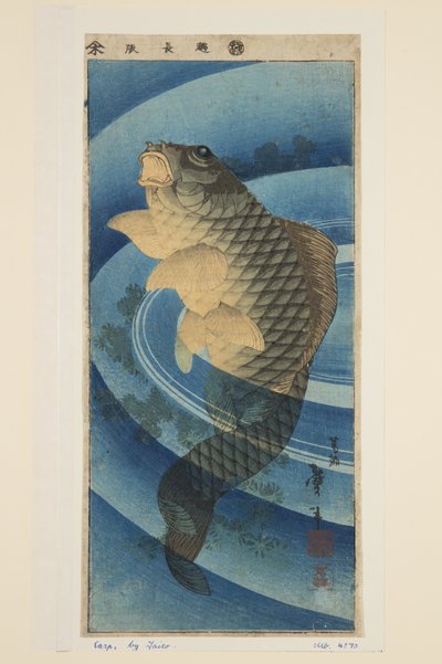 鯉（カラー木版画 作： Katsushika II (fl.1820 50) Taito