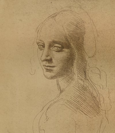 女性の頭、c1472-c1519 1883、 作： Leonardo da Vinci