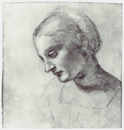 マドンナの頭、c1484-1486 作： Leonardo da Vinci