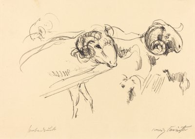 シャフボッケ (ラムズ) 作： Lovis Corinth