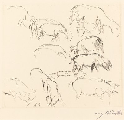 さまざまな動物研究 作： Lovis Corinth