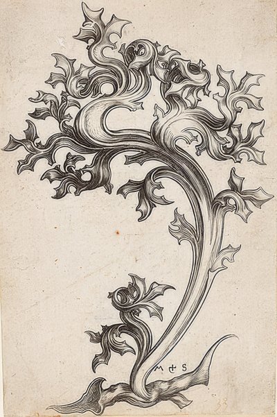 アザミの葉飾り 作： Martin Schongauer