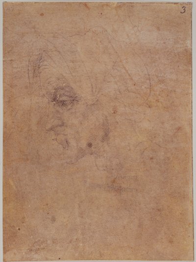 老女の横顔 作： Michelangelo Buonarroti