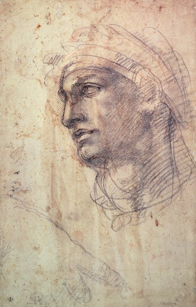 頭の研究（紙に木炭） 作： Michelangelo Buonarroti