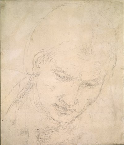 頭の研究、c1490-1560 作： Michelangelo Buonarroti