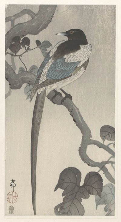 木の枝にカササギ 作： Ohara Koson