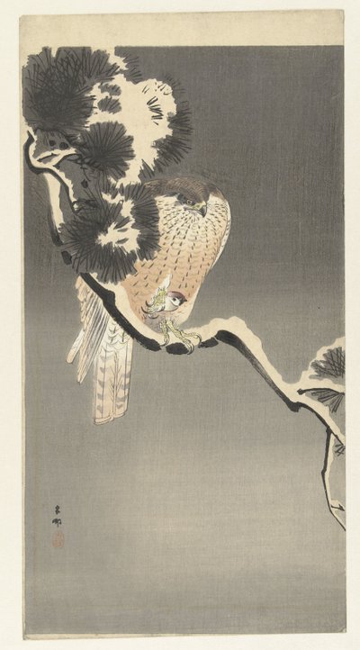 スズメとタカ 作： Ohara Koson