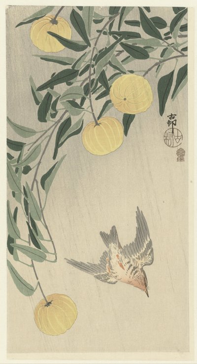 雨の中のカッコウ 作： Ohara Koson