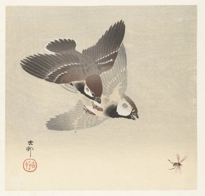 リングスズメと昆虫 作： Ohara Koson