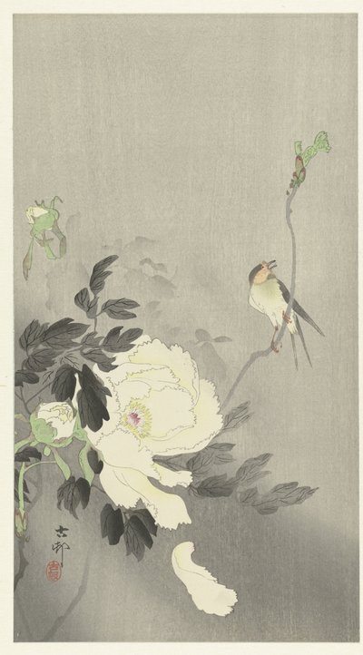 牡丹と飲み込む 作： Ohara Koson