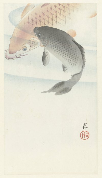 2匹の鯉 作： Ohara Koson