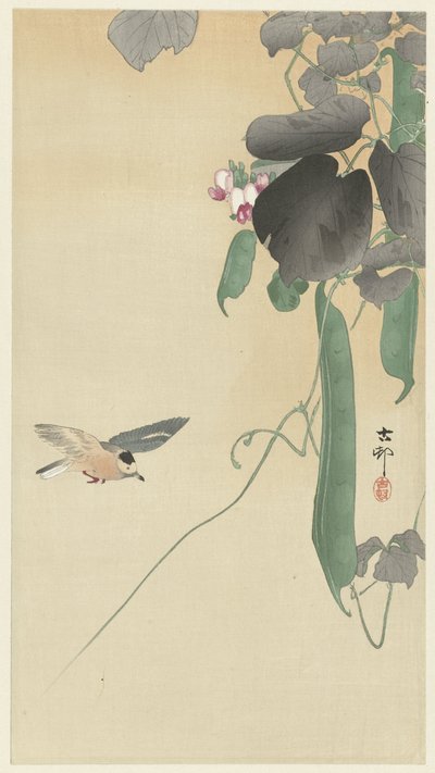 開花豆植物の鳥 作： Ohara Koson