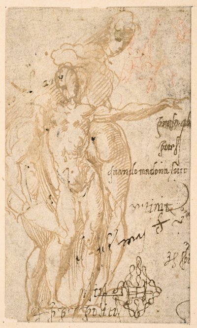 3つのヌード像の習作（直腸） 作： Parmigianino