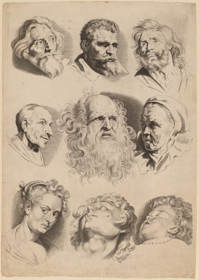 ナインヘッズ 作： Paulus Pontius after Sir Peter Paul Rubens