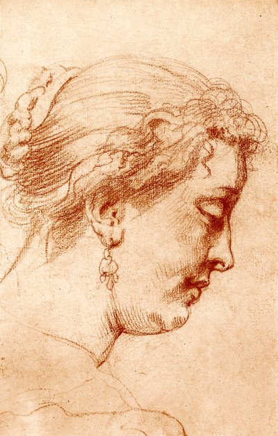 女性のプロファイルヘッド 作： Peter Paul Rubens