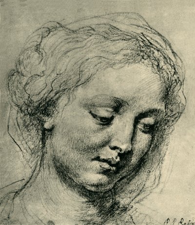 女性の頭、c1630、1943年。 作： Peter Paul Rubens