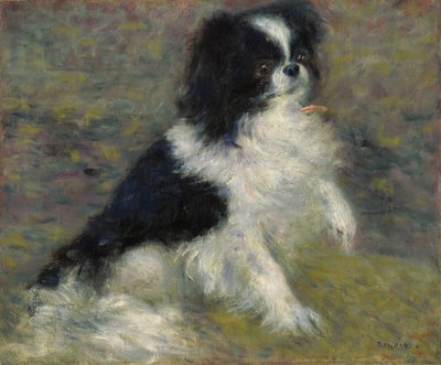 多摩、日本の犬、c.1876 作： Pierre Auguste Renoir