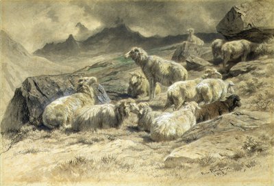 羊 作： Rosa Bonheur