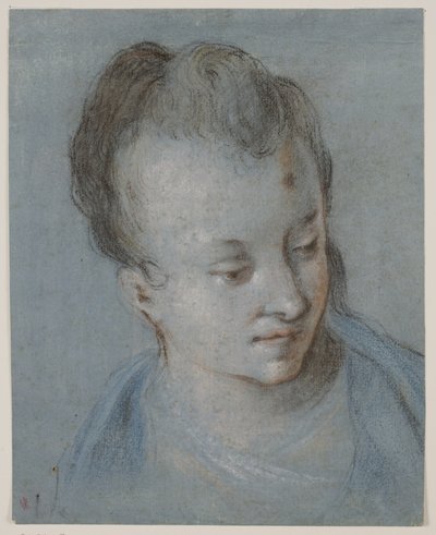 女性の頭が右を向いた 作： Rosalba Carriera