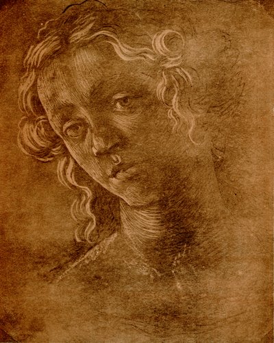 女性の頭 作： Sandro Botticelli