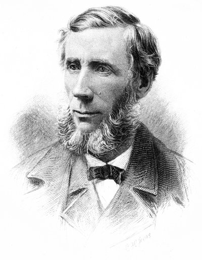 John Tyndall , 英国の物理学者 , 1880年代頃 作： Unbekannt