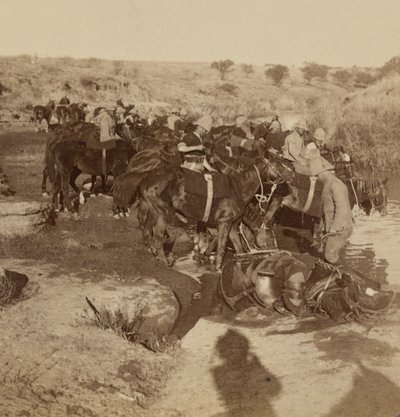 砲兵馬に水をやる、ウェルゲレゲン、南アフリカ 作： Unknown photographer