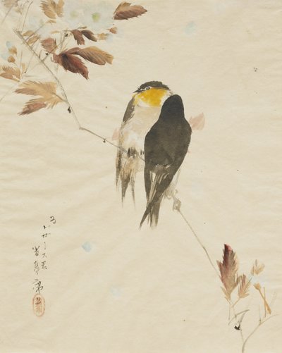 枝に鳥、1871-1917 作： Watanabe Seitei