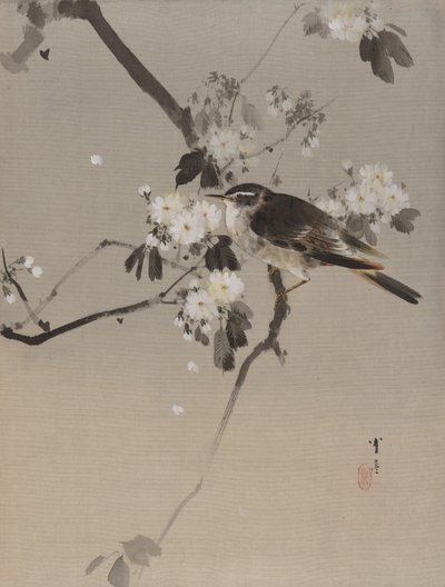 花咲く枝の上の鳥たち 1887年頃 作： Watanabe Seitei