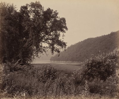 The Susquehanna Near Wyalusing 作： William H. Rau