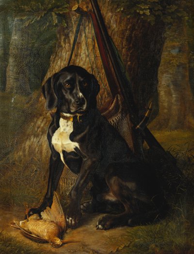 ウッドコックの銃犬、1842年 作： William Hammer