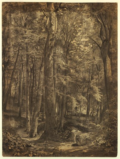 「六月の森」の習作 作： William Trost Richards