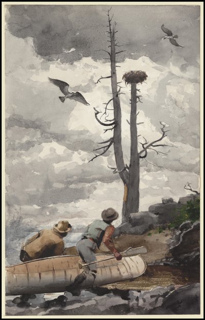 鷲の巣、1902 作： Winslow Homer