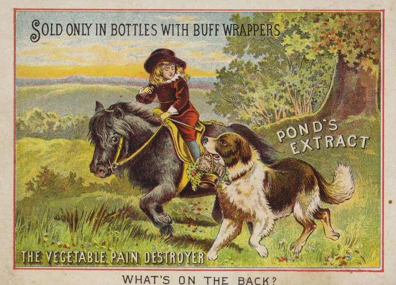 彼の犬とポニーに乗る少年 作： アメリカの学校