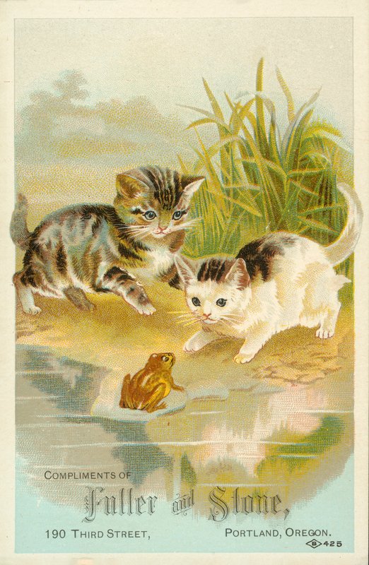 子猫とカエルの出会い（クロモリト） 作： アメリカの学校