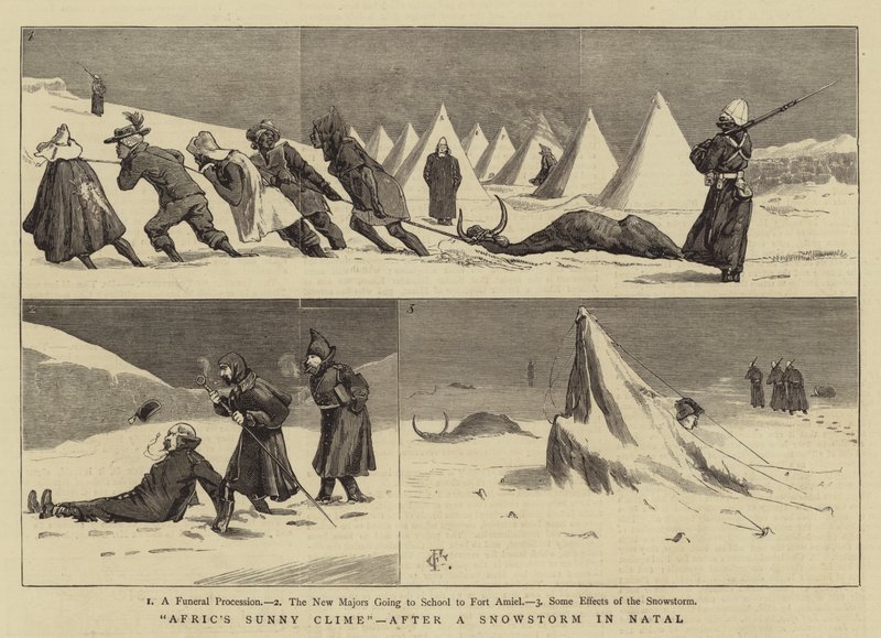 ナタールで吹雪が降った後の、AfricのSunny Clime 作： チャールズ・エドウィン・フリップ