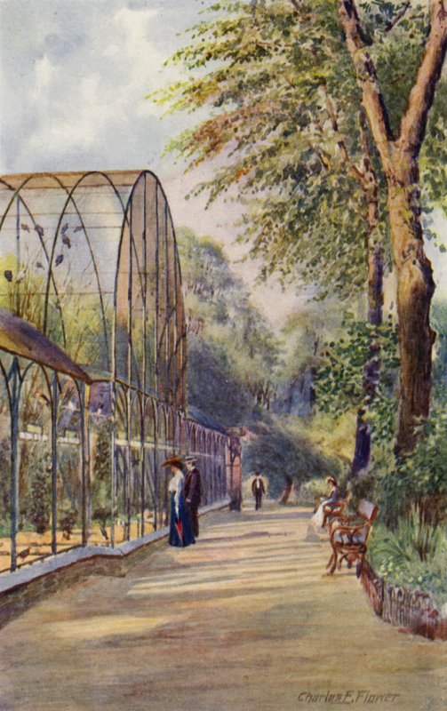 ロンドン動物園: Western Aviary (カラー リソ) 作： チャールズ・エドウィン・フラワー