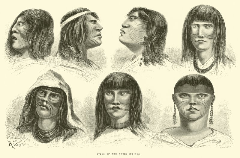 アンチインディアンの種類 作： Edouard Riou