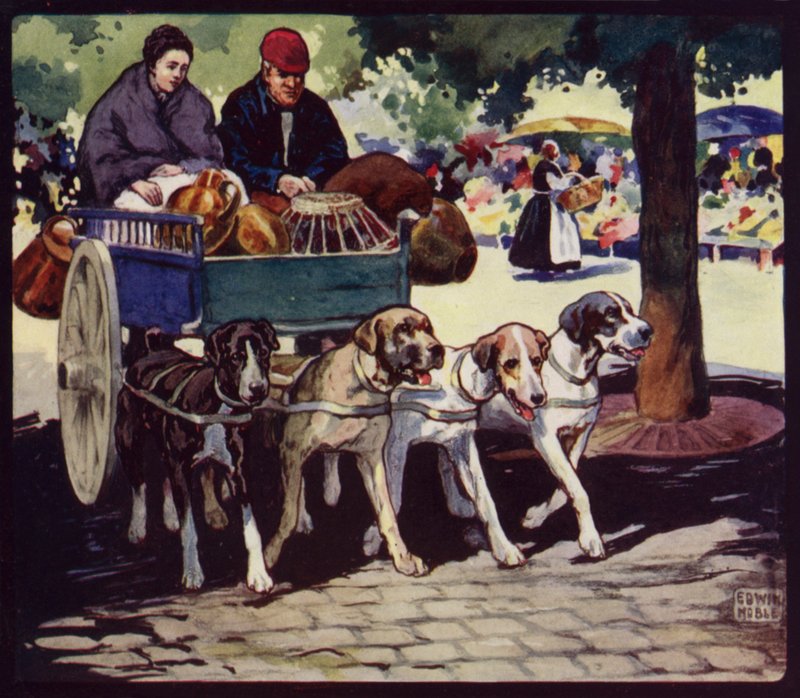 フランスの犬車（カラーリトグラフ 作： エドウィン・ノーブル