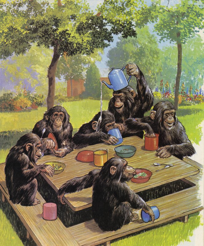 動物園でのチンパンジーティーパーティー 作： 英語学校
