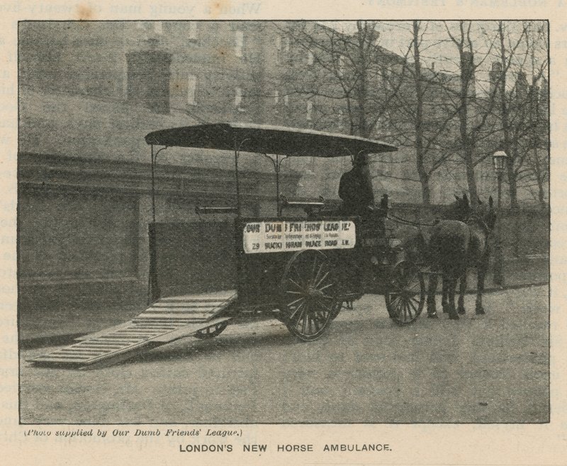ロンドンの新しい馬の救急車 作： 英語の写真家