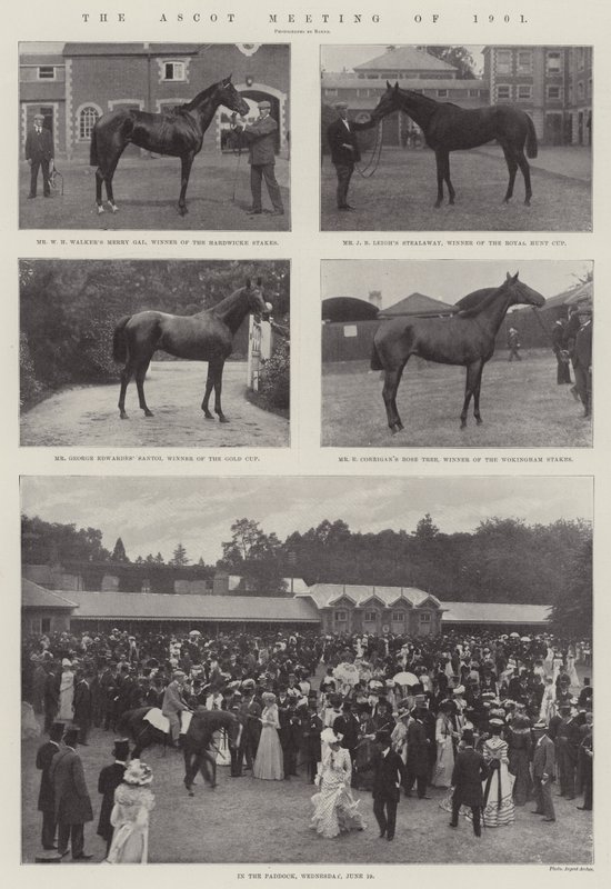 1901年のアスコット会議 作： 英語の写真家
